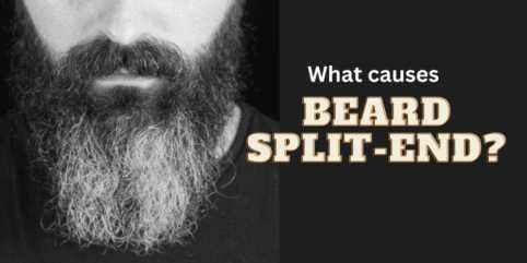 decorative image beard split ends